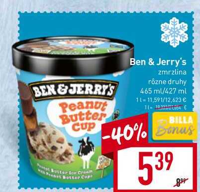 Ben & Jerry's zmrzlina rôzne druhy 465 ml/427 ml