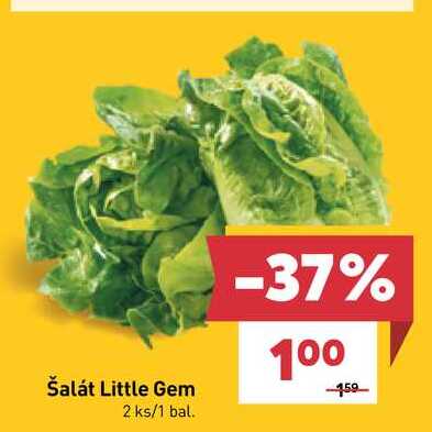 Šalát Little Gem 2 ks