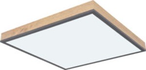 3: Stropné LED svietidlo Ludwig