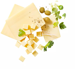 Gouda