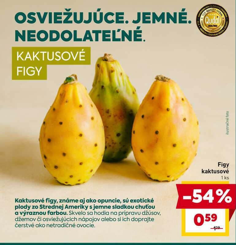Figy kaktusové 1 ks 