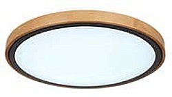LED stropnica BRUNO
