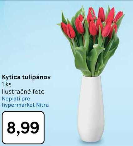 Kytica tulipánov