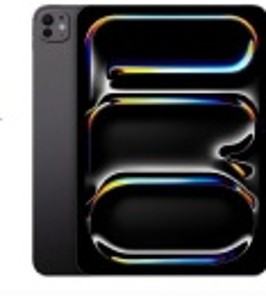 iPad Pro11" MS Wi-Fi 256GB