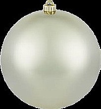 ČEMERICA ČIERNA „CHRISTMAS CAROL” (HELLEBORUS NIGER)