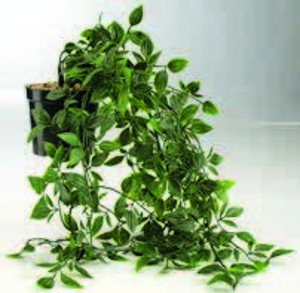 Umelá rastlina OLIVER