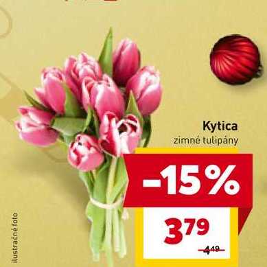 Kytica zimné tulipány