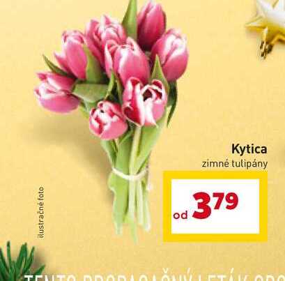 Kytica zimné tulipány 