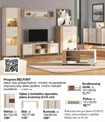 Program BELFORT - Polica