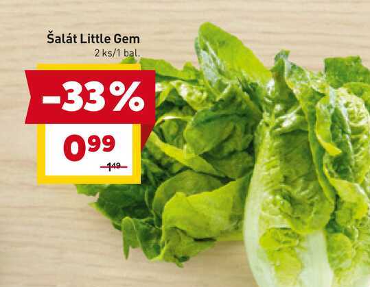 Šalát Little Gem 2 ks/1 bal. 