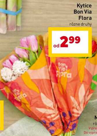 Kytice Bon Via Flora rôzne druhy