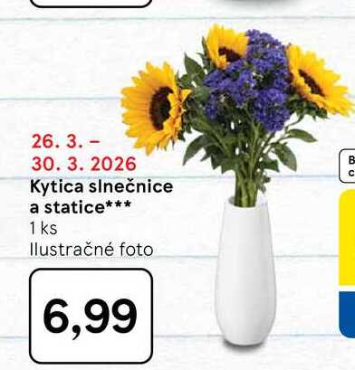 Kytica slnečnice a statice 1 ks 