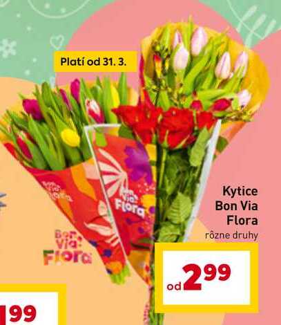 Kytice Bon Via Flora rôzne druhy 
