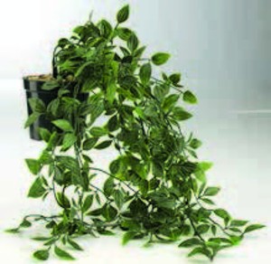 Umelá rastlina OLIVER