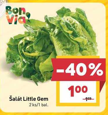 Šalát Little Gem 2 ks