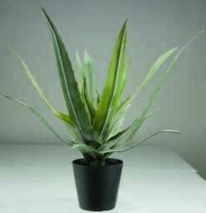 Umelá rastlina CELIUS