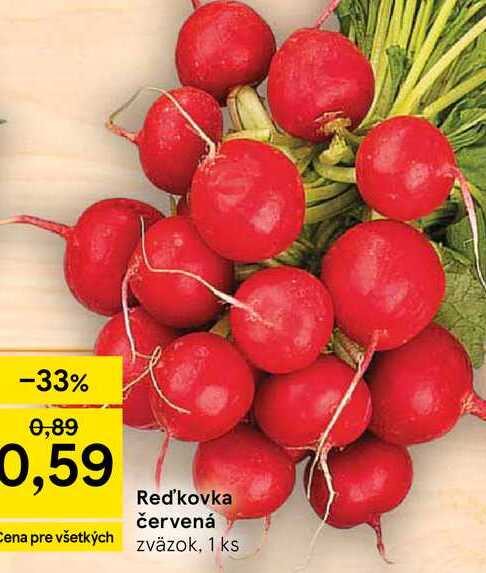 Reďkovka červená zväzok, 1 ks