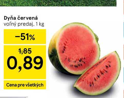 Dyňa červená voľný predaj 1 kg