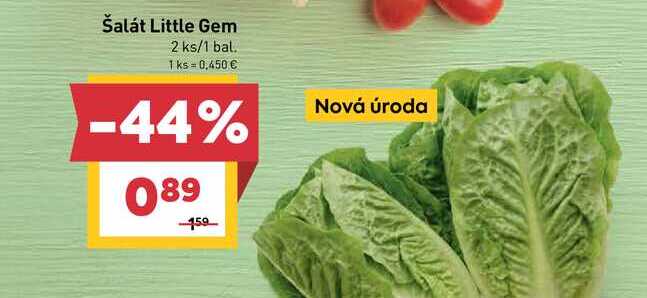 Šalát Little Gem 2 ks/1 bal. 