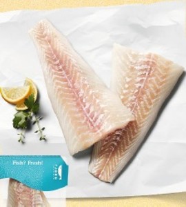 Fjord Treska