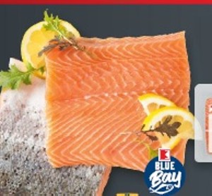 K-Blue Bay Losos