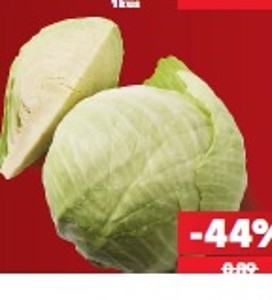 BIO Seeburger Kapusta