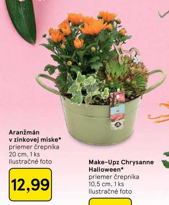 Aranžmán v zinkovej miske priemer črepníka 20 cm, 1 ks